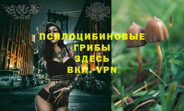 дживик Алексеевка