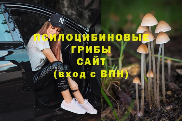 каннабис Алзамай