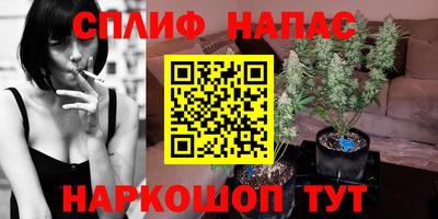 не бодяженный Камышлов