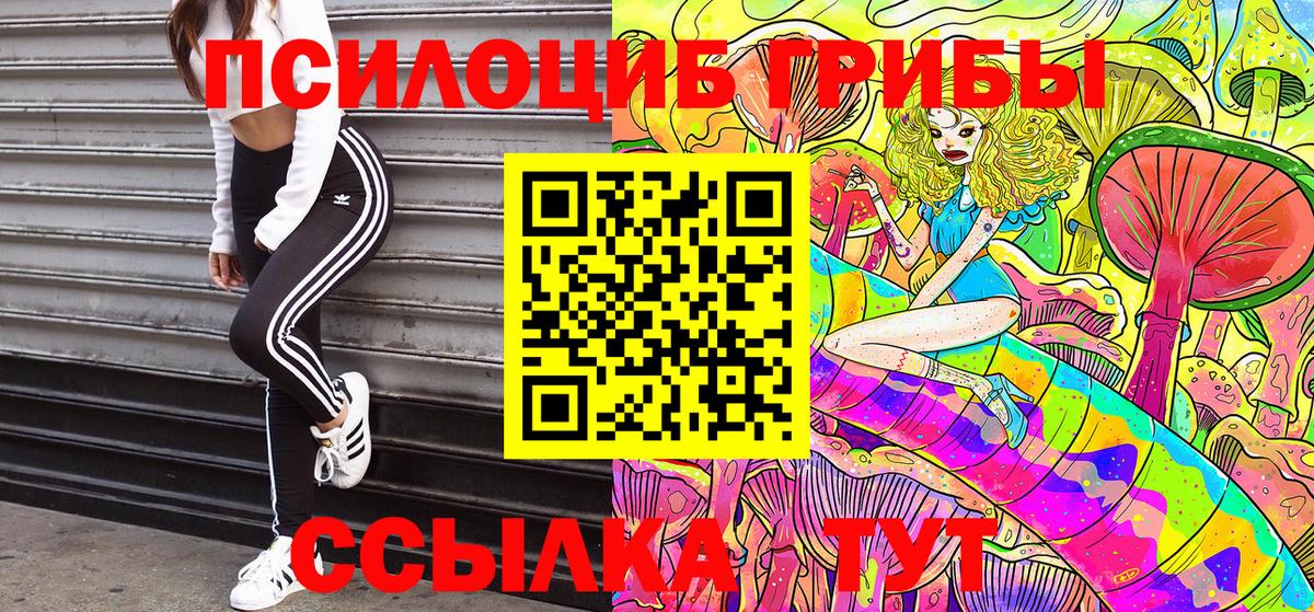 Псилоцибиновые грибы прущие грибы  Вход с VPN  Лесосибирск 