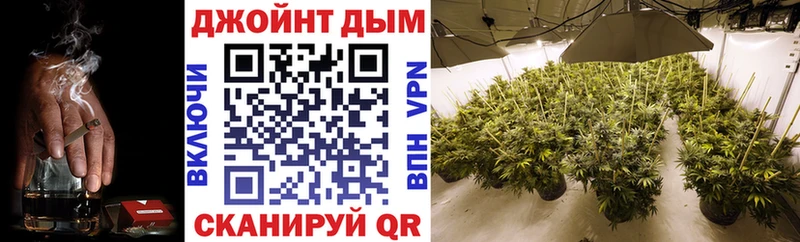 купить закладку hydra ссылки Каннабис Amnesia нарко площадка клад Лесосибирск